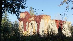 Die Orangerie
